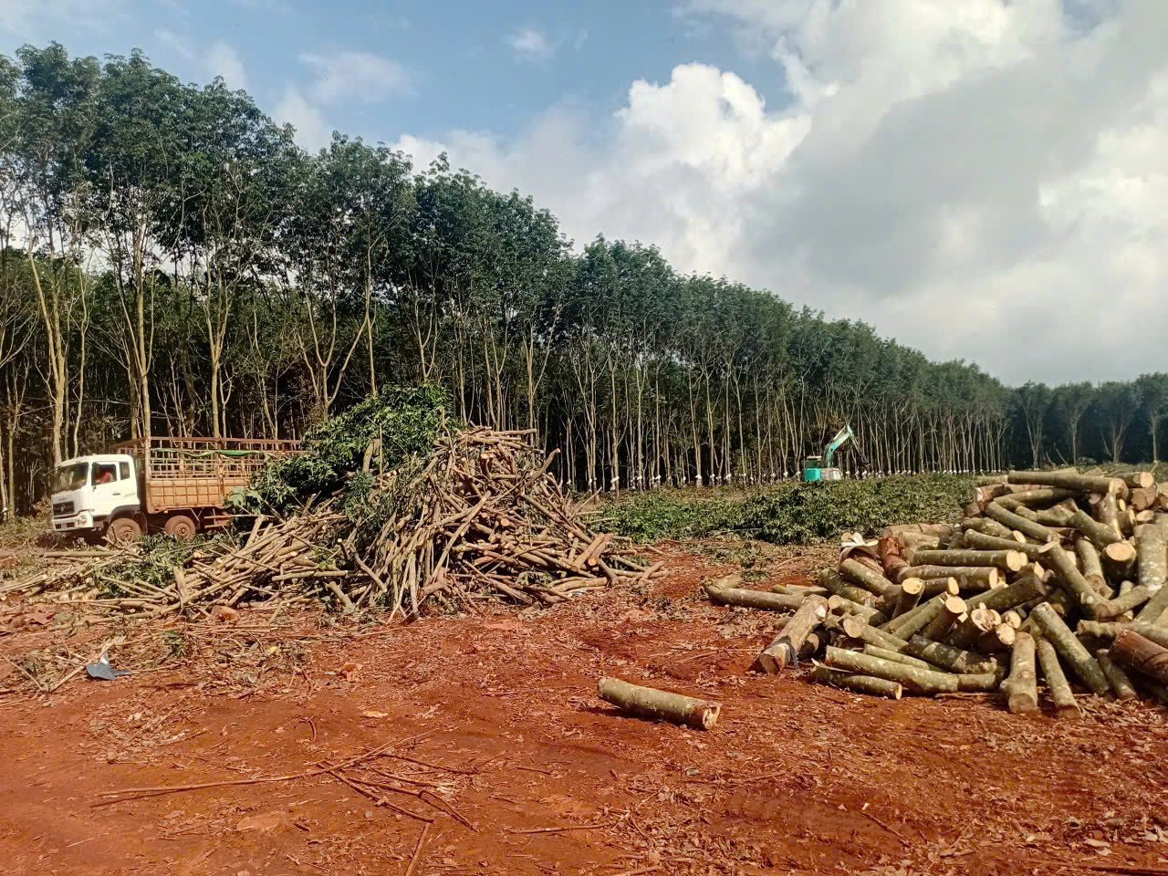 NHỊP SỐNG THI CÔNG HẤP DẪN TẠI CÔNG TRƯỜNG NHỮNG NGÀY GIỮA THÁNG 7